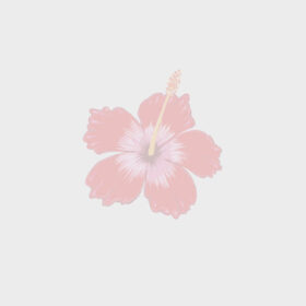 RIDEAU OCCULTANT 140X240 ROUGE | TAHITI PAS CHER rideau pas cher